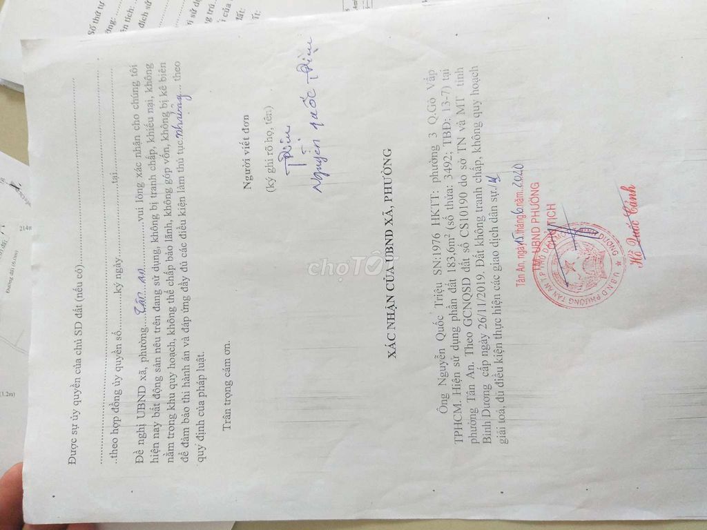 CẦN BÁN GẤP ĐẤT THỔ CƯ TẠI 51, ĐƯỜNG DX 132, PHƯỜNG TÂN AN, THÀNH PHỐ THỦ DẦU MỘT, BÌNH DƯƠNG 10825576