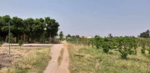 CHÍNH CHỦ GỬI TIN BÁN ĐẤT TẠI ẤP TÂN TRUNG B, XÃ TÂN HƯNG, HUYỆN TÂN CHÂU, TỈNH TÂY NINH 10828434