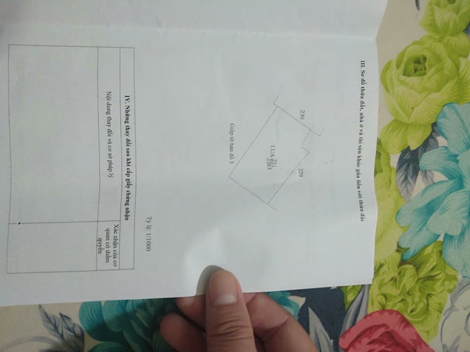 CHÍNH CHỦ CẦN BÁN ĐẤT MẶT TIỀN SÔNG VÀM CỎ 10842081