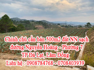 Chính chủ cần bán 500m đất NN sạch đường Nguyễn Hoàng, phường &, tp Đà Lạt, Lâm Đồng 10844449