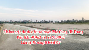 Cần bán hoặc cho thuê đất tại: huyện Bình Giang, Hải Dương 10845409