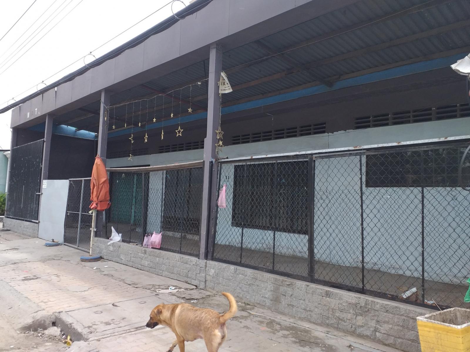 CHÍNH CHỦ CẦN CHO THUÊ NHÀ NGUYÊN CĂN TẠI TP MỸ THO 10848017