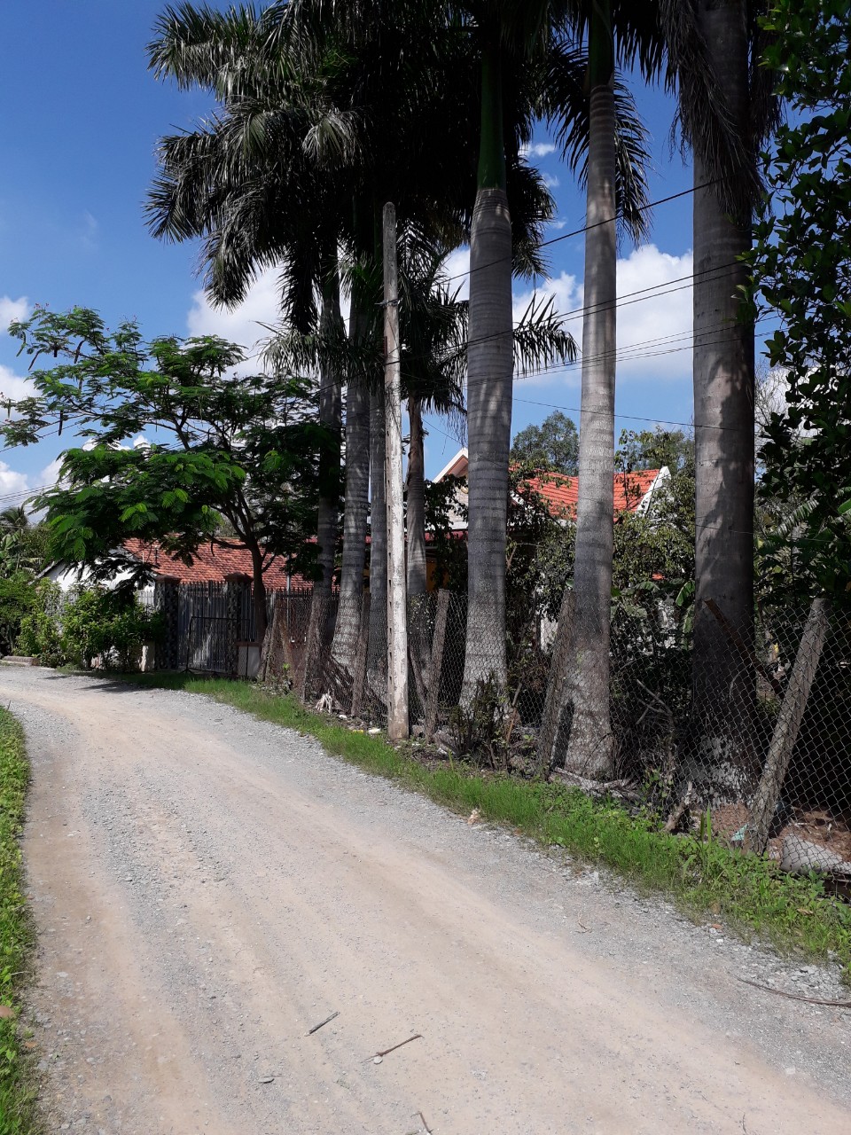 CHÍNH CHỦ CẦN BÁN ĐẤT TẠI THÀNH PHỐ TÂN AN TỈNH LONG AN 