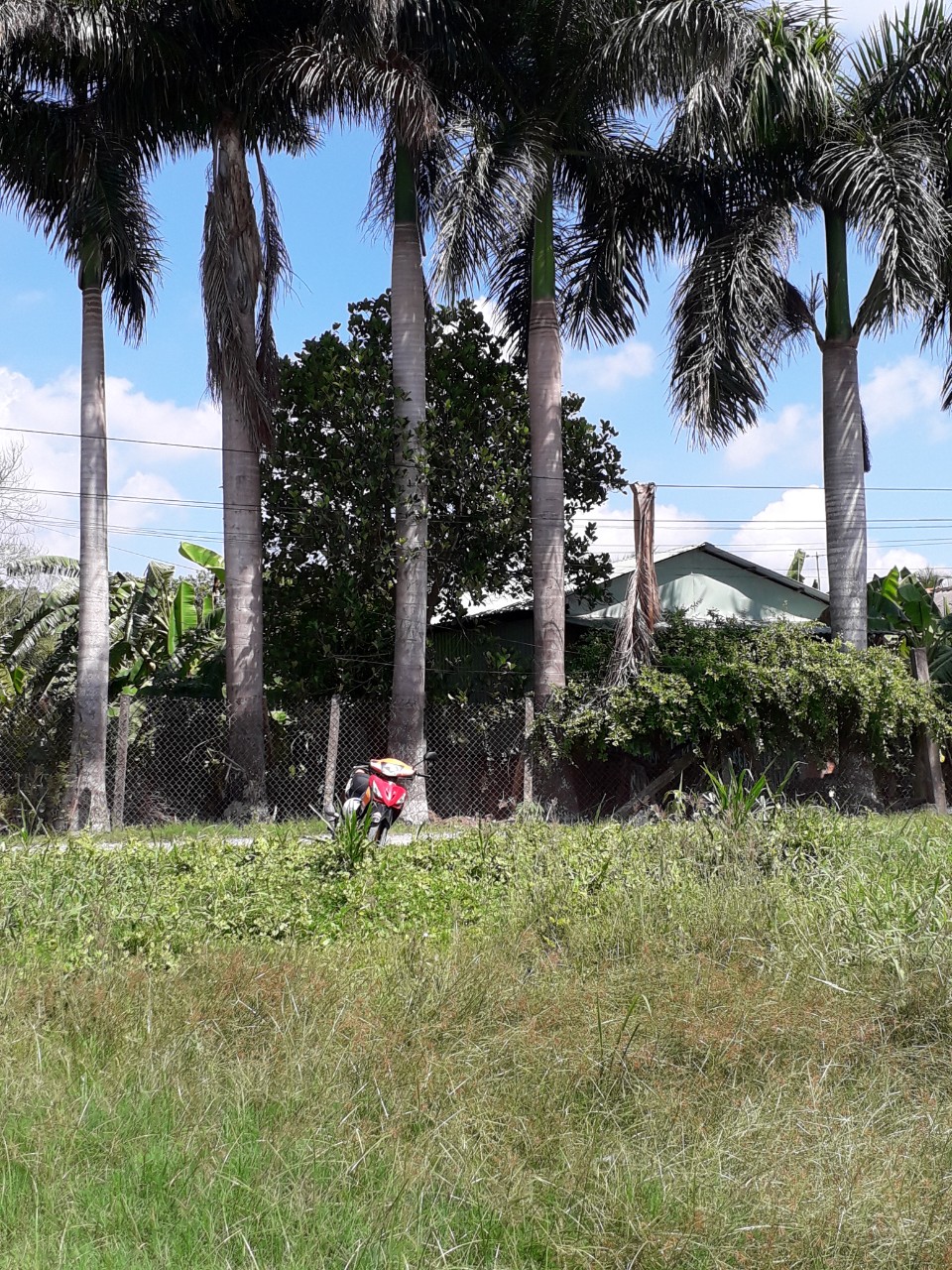 CHÍNH CHỦ CẦN BÁN ĐẤT TẠI THÀNH PHỐ TÂN AN TỈNH LONG AN 