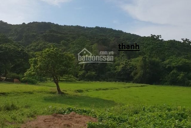 Bán đất biển Tình yêu, Cô Tô, 3 mặt tiền, Rẻ 7.4 tỷ 10854075