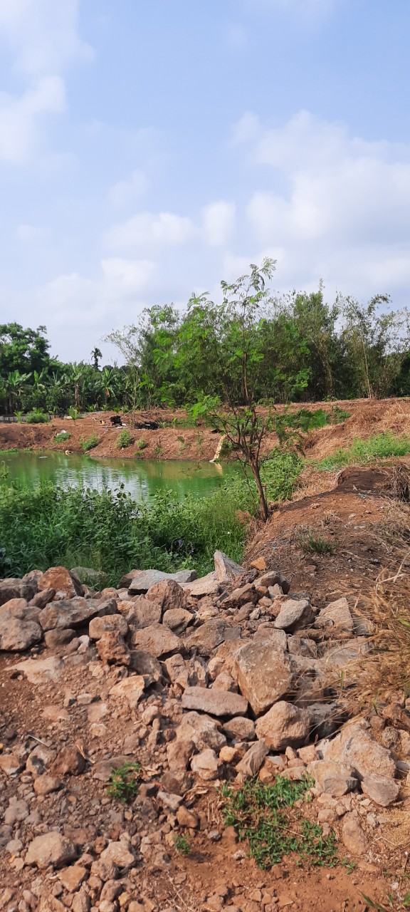 CHÍNH CHỦ CẦN BÁN NHÀ ĐẤT TẠI ĐỨC HUY, THỐNG NHẤT, ĐỒNG NAI 10856579