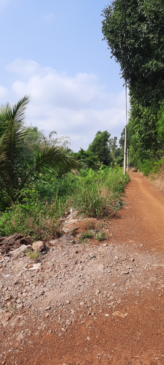 CHÍNH CHỦ CẦN BÁN NHÀ ĐẤT TẠI ĐỨC HUY, THỐNG NHẤT, ĐỒNG NAI 10856579