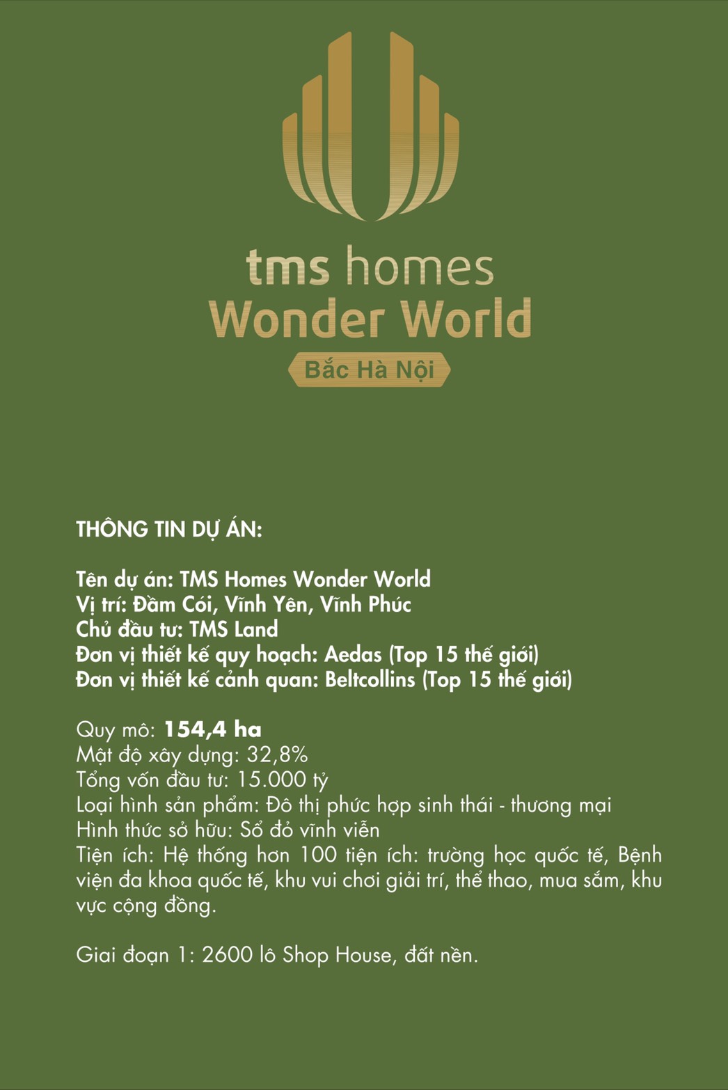 Dự án đất nền liền kề shophouse TMS Homes Wonder World - TP. Vĩnh Yên giá 1 tỷ 1 / lô- sổ hồng lâu dài											
 10860934