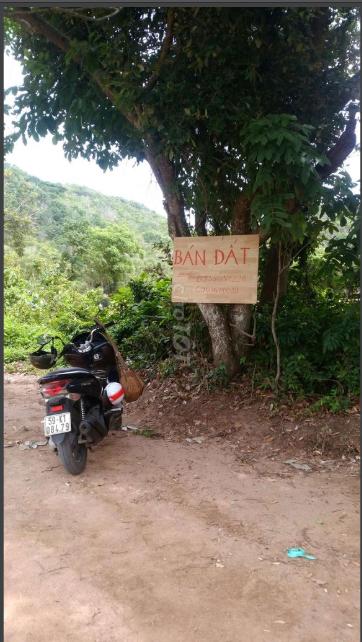 CHÍNH CHỦ BÁN ĐẤT TẠI XÃ TAM PHƯỚC, HUYỆN LONG ĐIỀN, TỈNH BÀ RỊA - VŨNG TÀU. LIÊN HỆ: 0903600039
 10875190