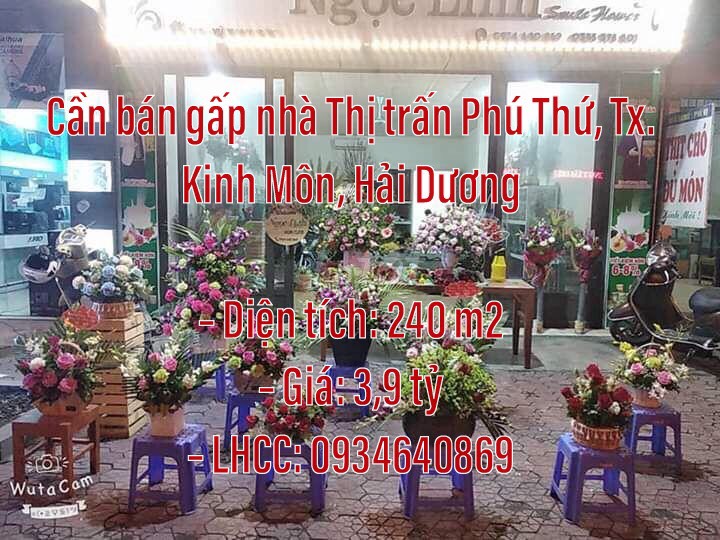 Chính chủ cần bán gấp nhà Đường Vũ Mạnh Hùng, Thị trấn Phú Thứ, Thị xã Kinh Môn, Hải Dương 10875946