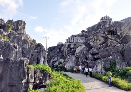 Bán đất Hoàng Tân, Tân Thành, Cành Chẽ, Xóm Máng, rẻ 9tr/m2 10884602