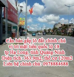 Cần bán gấp lô đất chính chủ vị trí mặt tiền quốc lộ 18, tp Hạ Long, tỉnh Quảng Ninh 10892038