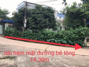 Chính Chủ cần bán mảnh đất ở Tổ 2 Phường Tân Láo, Thái Nguyên. 10896854