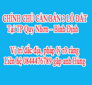 CHÍNH CHỦ CẦN BÁN 3 LÔ ĐẤT : Tại TP Quy Nhơn –Bình Định 10897448
