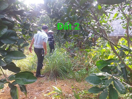 Cần bán đất tại thuộc xã Hòa Thạch, huyện Quốc Oai, thành phố Hà Nội. 10899557