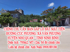 CHÍNH CHỦ CẦN BÁN GẤP LÔ ĐẤT MẶT TIỀN ĐƯỜNG CÚC PHƯƠNG, XÃ VĂN PHƯƠNG – HUYỆN NHO QUAN – TỈNH NINH 10904166