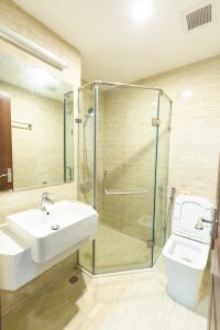 Chính chủ cho thuê căn hộ Roman Plaza Tố Hữu, Đai Mễ, Nam Từ Liêm, Hà Nội 10946613