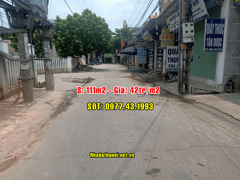 Bán đất mặt đường trục chính thôn Xuân Bách, Xã Quang Tiến, Sóc Sơn, Hà Nội 10948235