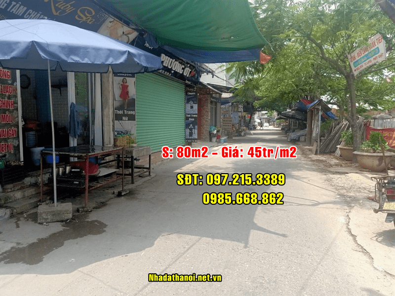 Bán đất mặt đường trục chính thôn Xuân Bách, Xã Quang Tiến, Sóc Sơn, Hà Nội 10948235