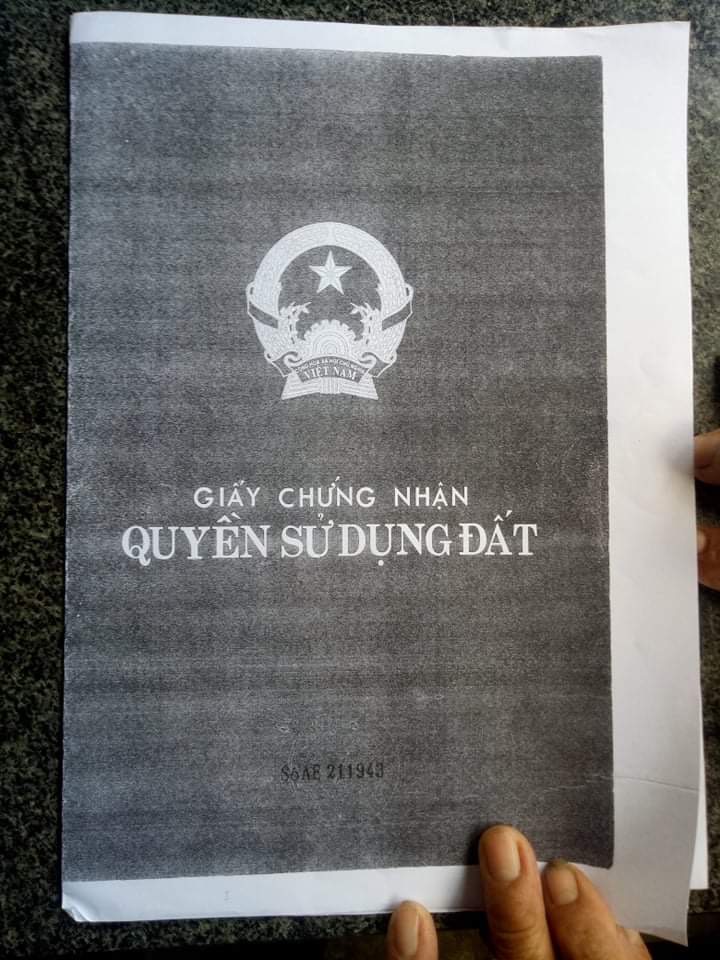 CẦN BÁN ĐẤT TRỒNG CÂY LÂU NĂM TẠI SƠN NGUYÊN THÔN NGUYÊN CAM, HUYỆN SƠN HOÀ, PHÚ YÊN 10950437