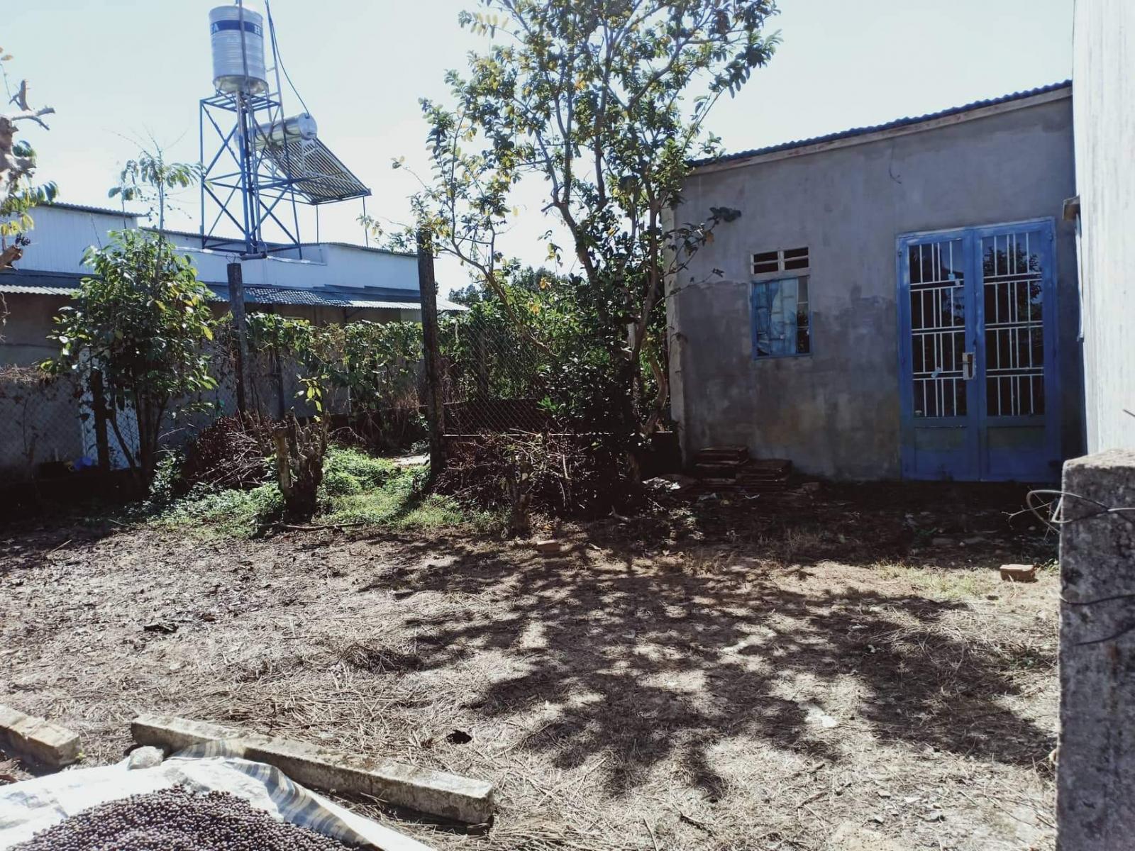 MÌNH CẦN BÁN MẢNH ĐẤT GẦN CHỢ TÂN BÙI, LỘC CHÂU, BẢO LỘC, LÂM ĐỒNG 10959519