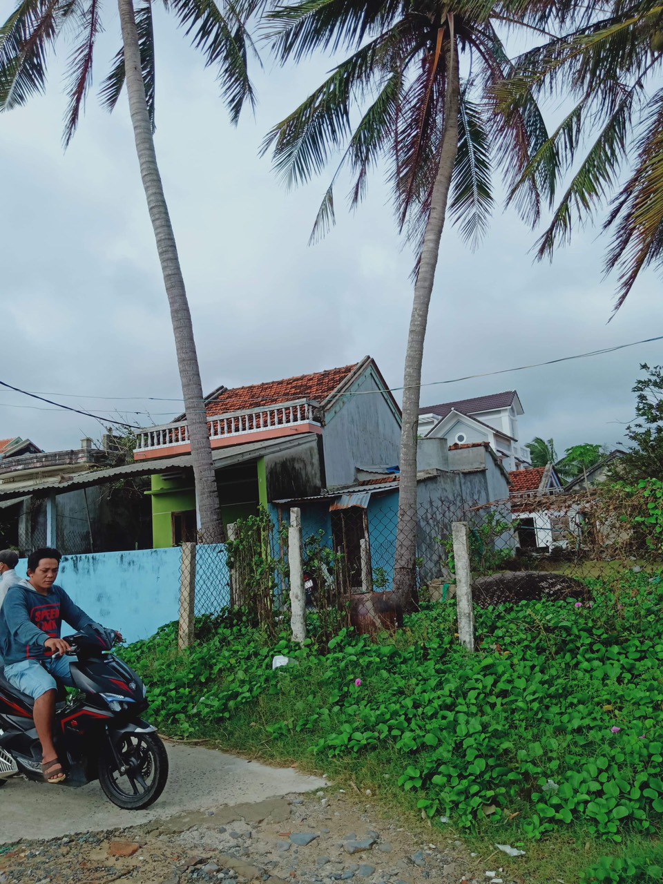 CẦN BÁN NHÀ VÀ LÔ ĐẤT LIỀN KỀ TP TUY HOÀ , PHÚ YÊN.LH 0844440578
 10971152