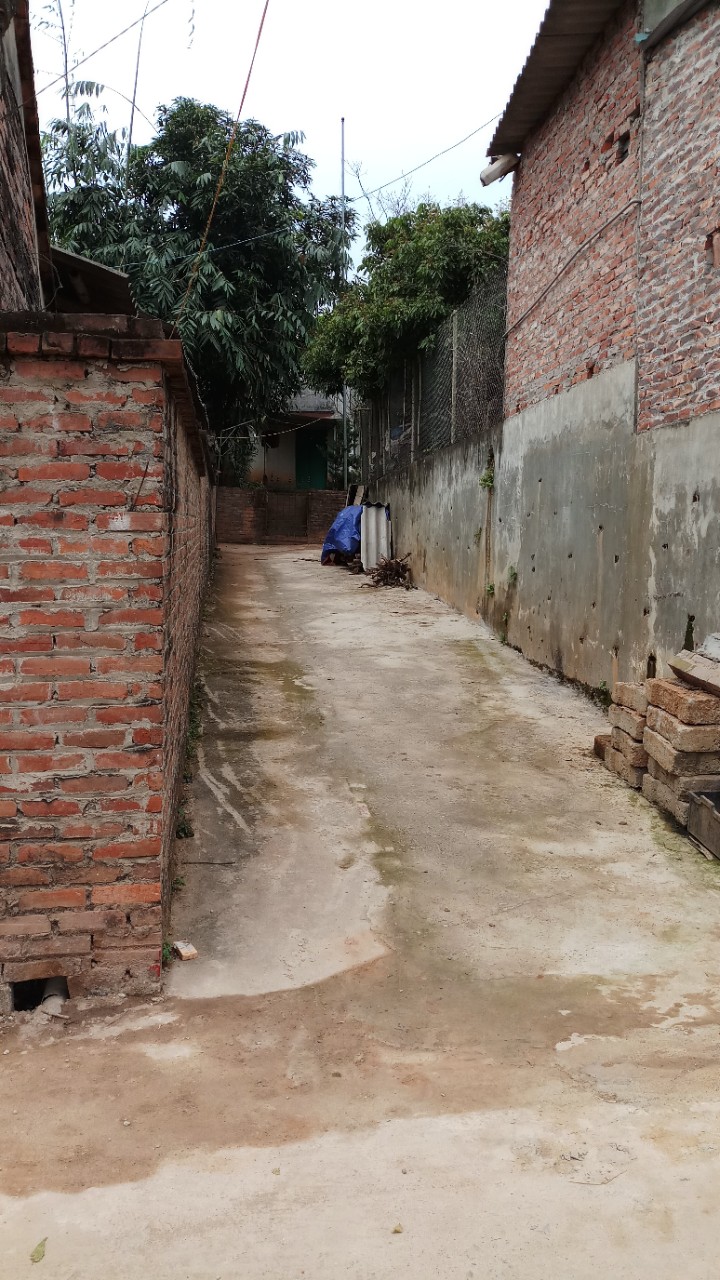 Chính chủ cần bán đất đất tại: thôn Phú đa, xã Cầm Kiệm, huyện Thạch Thất, thành phố Hà Nội 10975561