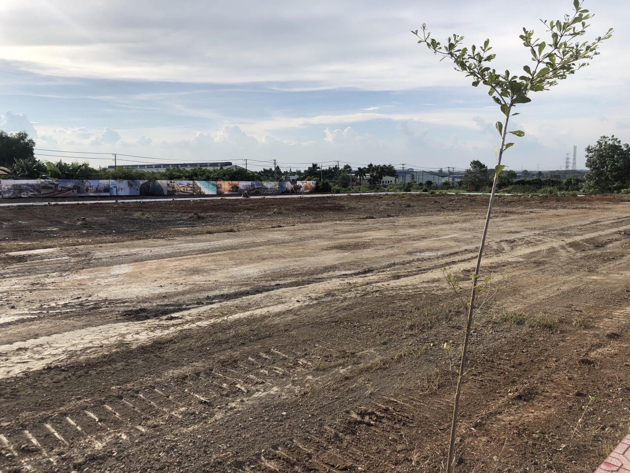 ĐẤT NỀN DỰ ÁN ROYAL DREAM CITY TÂY HÒA, XDTD
 10980472