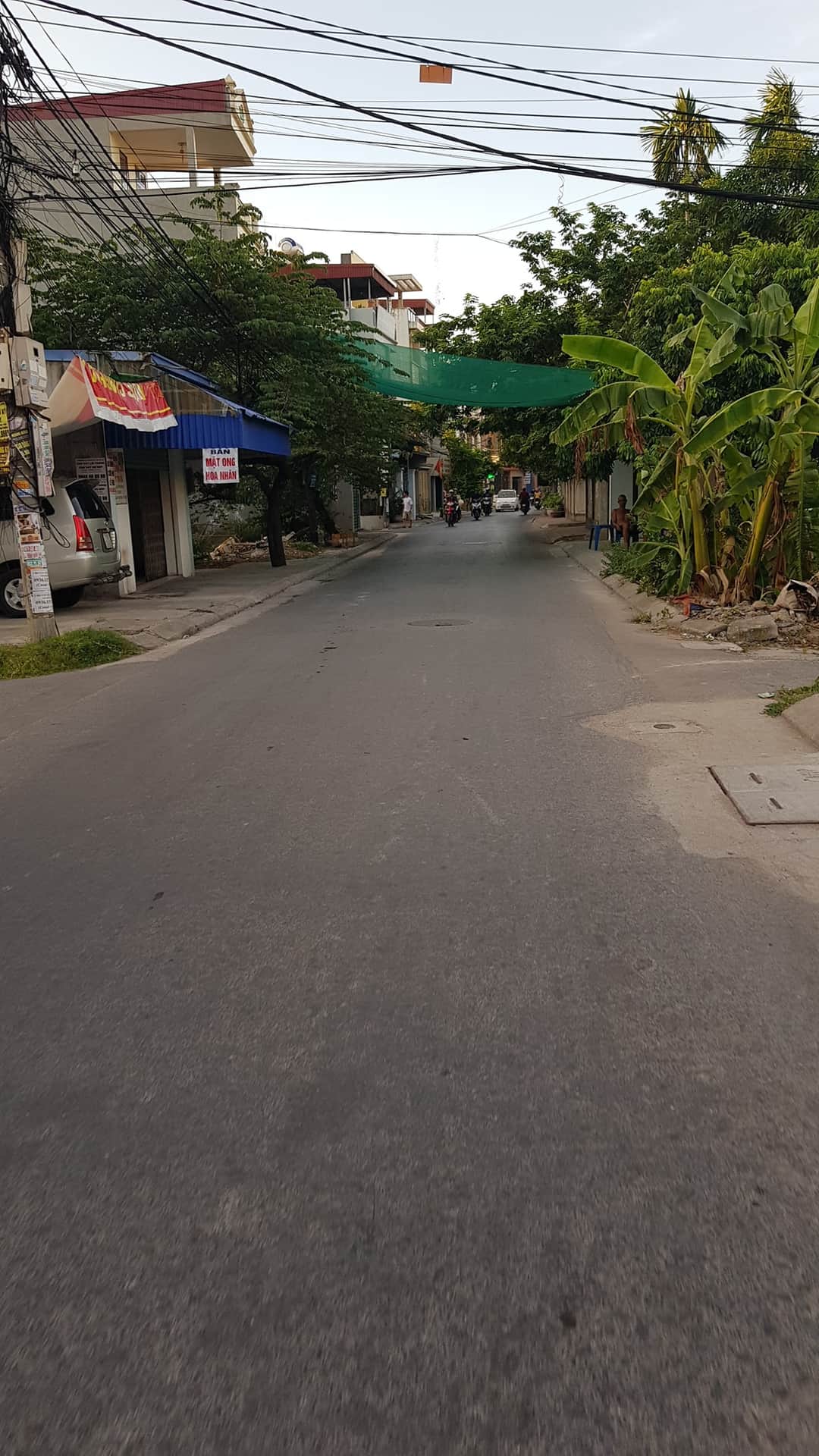 Bán đất ngõ 68 Cái Tắt, An Đồng, An Dương, Hải Phòng. 10991504