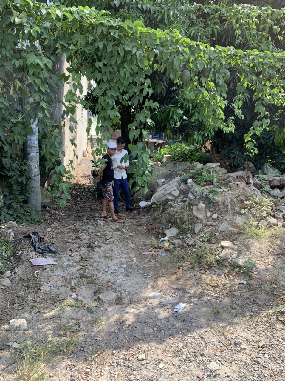 Bán nhanh lô đất tài lộc ngay mặt đường Nguyễn Thiện Thuật,xã Minh Hải,Văn Lâm,Hưng Yên. 11002435