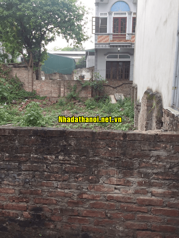 
Chính chủ cần bán lô đất tại Xã Ngọc Hồi, Huyện Thanh Trì, Hà Nội 11006298