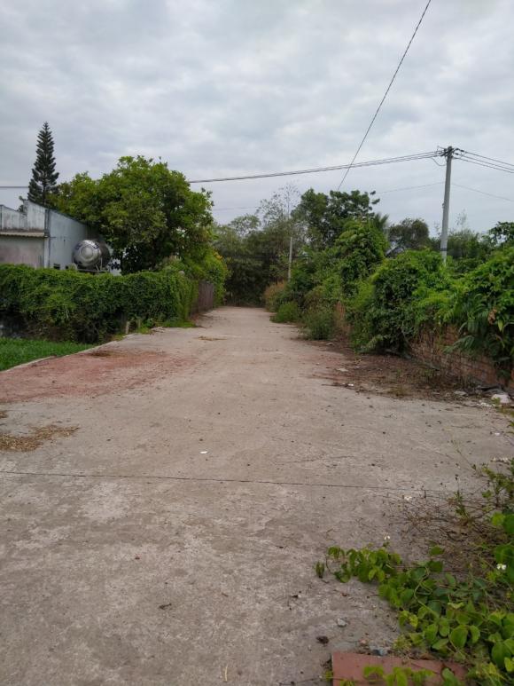 Chính chủ cần bán đất Đường 145 - Xã Bình Mỹ - Huyện Củ Chi - Thành Phố HCM 11015489