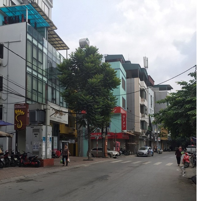 Mặt phố Phan Kế Bính, Ba Đình 100m2 x 8 tầng thang máy, kinh doanh tốt, 28 tỷ 11015889