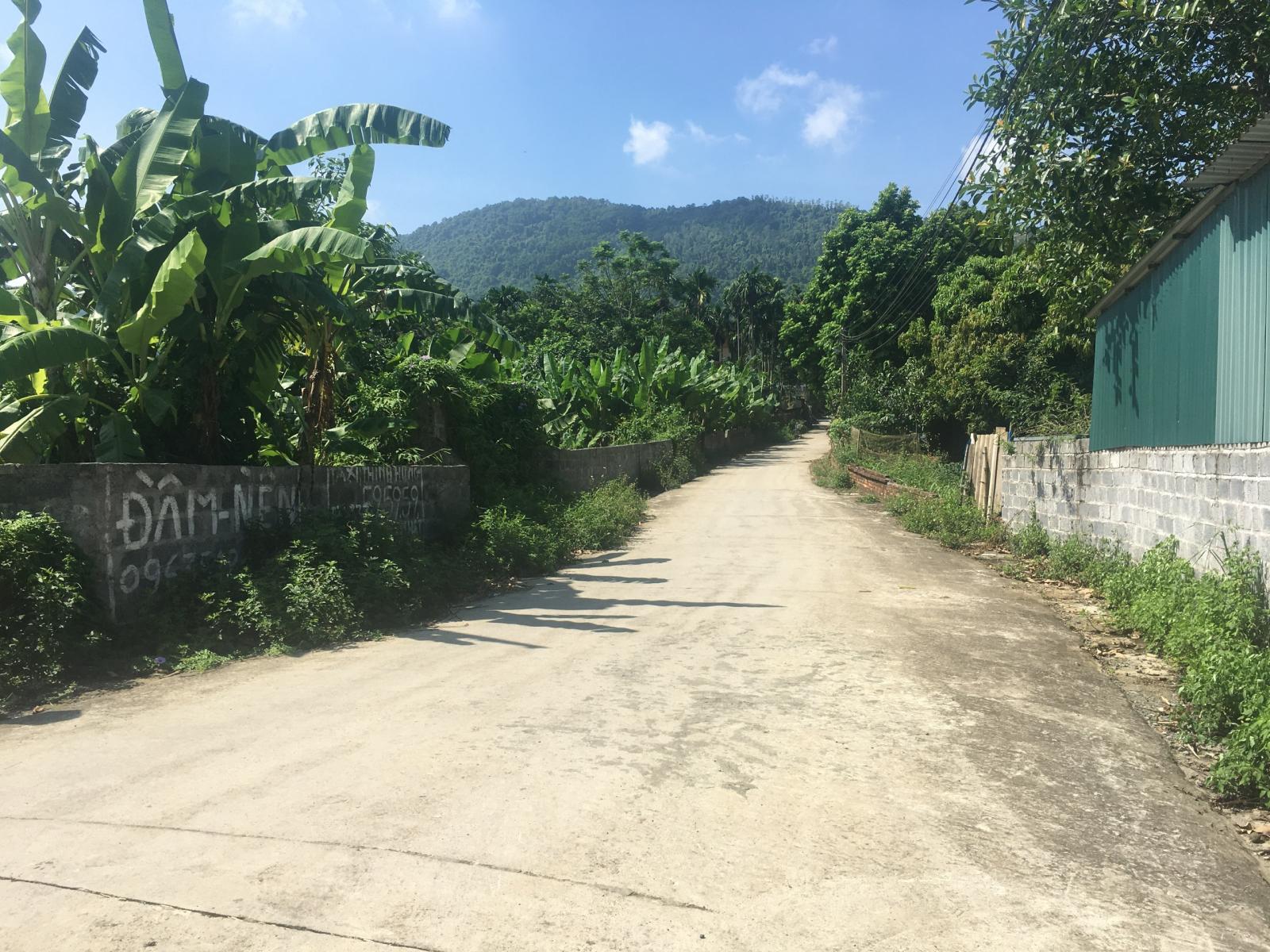 CHÍNH CHỦ BÁN LÔ ĐẤT GẦN 400M2 TẠI THÔN THẮNG ĐẦU, XÃ HÒA THẠCH, HUYỆN QUỐC OAI, HÀ NỘI. 11022264