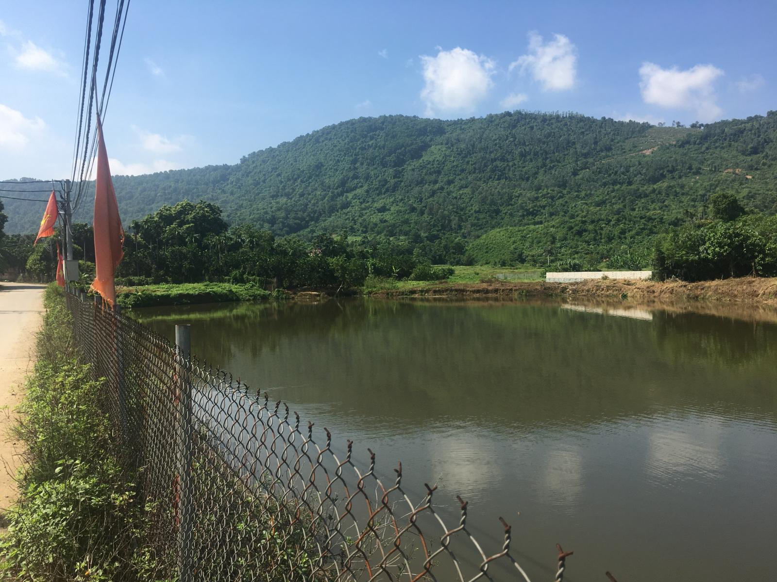 CHÍNH CHỦ BÁN LÔ ĐẤT GẦN 400M2 TẠI THÔN THẮNG ĐẦU, XÃ HÒA THẠCH, HUYỆN QUỐC OAI, HÀ NỘI. 11022264