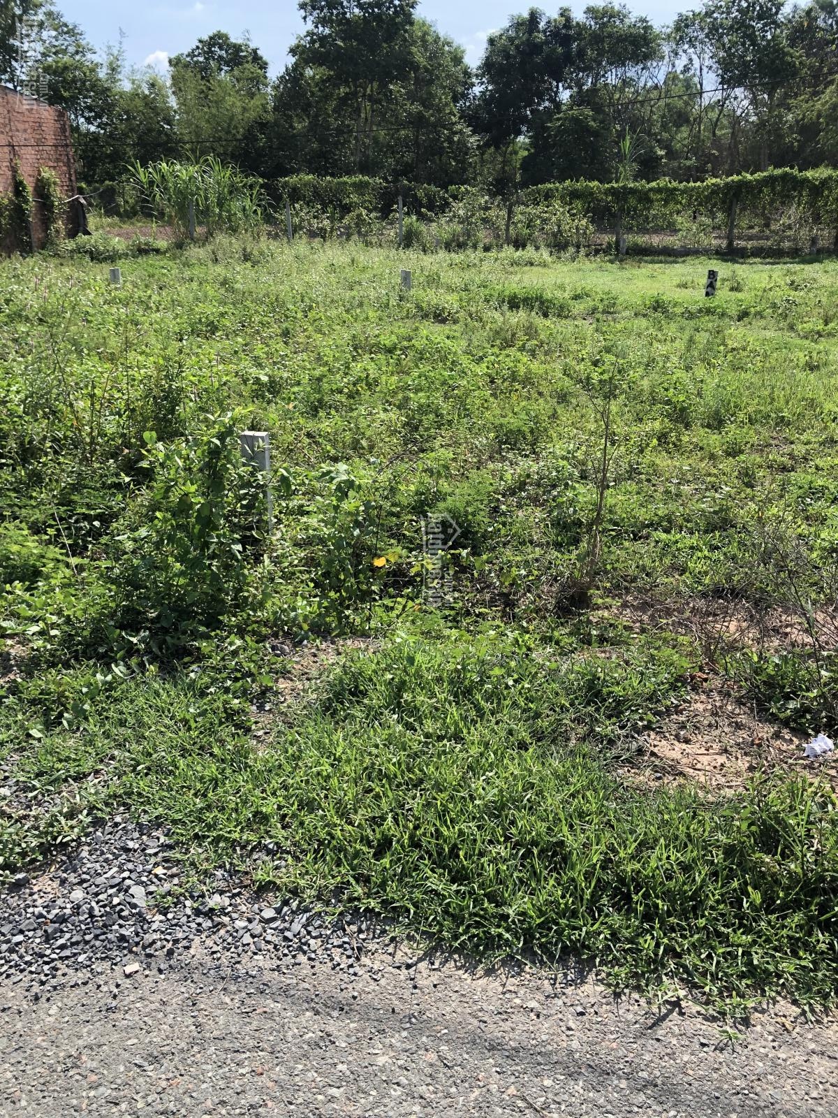 Gấp! Cần Tiền Bán Gấp 320 M2 Đất Tại Bình Chánh. LH: 0917845059 11039394