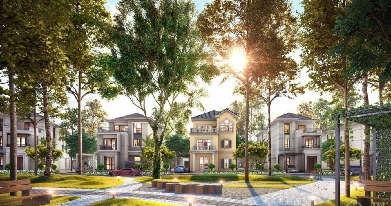 Gấp! Cần Tiền Bán Gấp 320 M2 Đất Tại Bình Chánh. LH: 0917845059 11039394