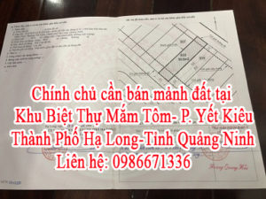 Chính chủ cần bán mảnh đất tại Khu Biệt Thự Mắm Tôm-Phường Yết Kiêu-Thành Phố Hạ Long-Tỉnh Quảng 11049867