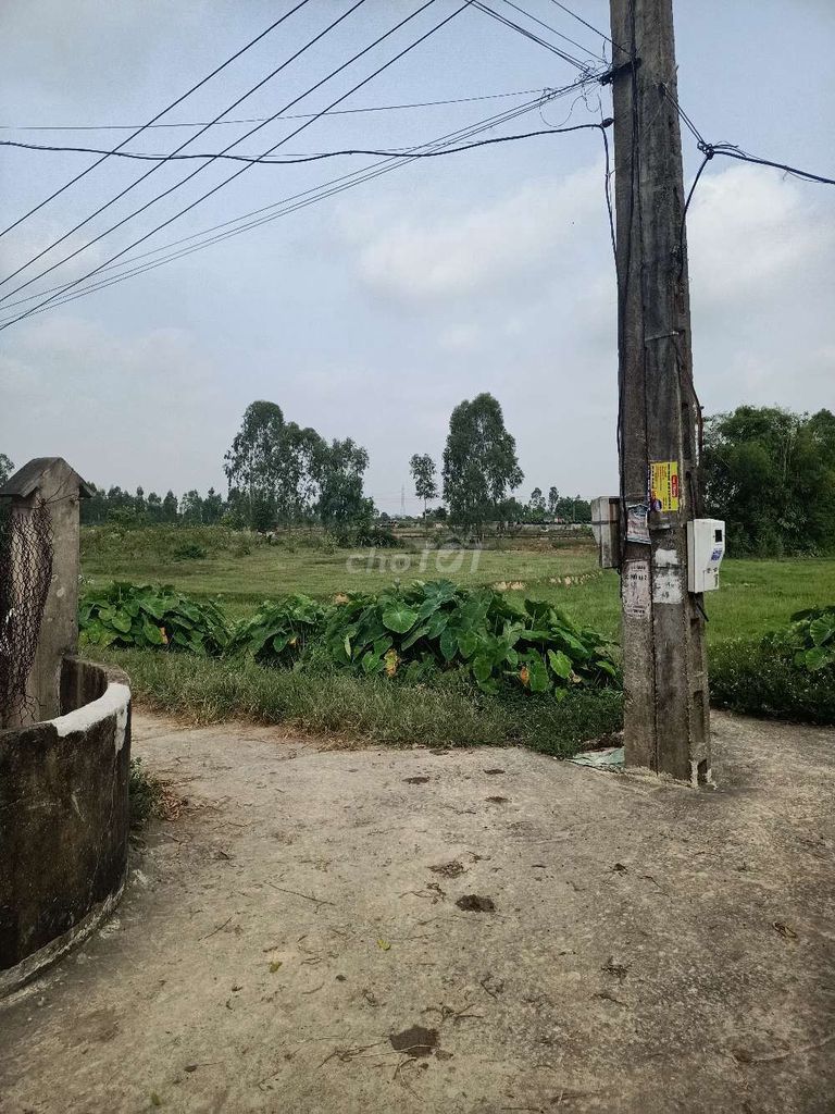 Chính chủ cần bán mảnh đất 200 m2 tại xóm Cầu Ngăm , thôn Phú Hạ , xã Minh Phú , Sóc Sơn , Hà Nội 11063881