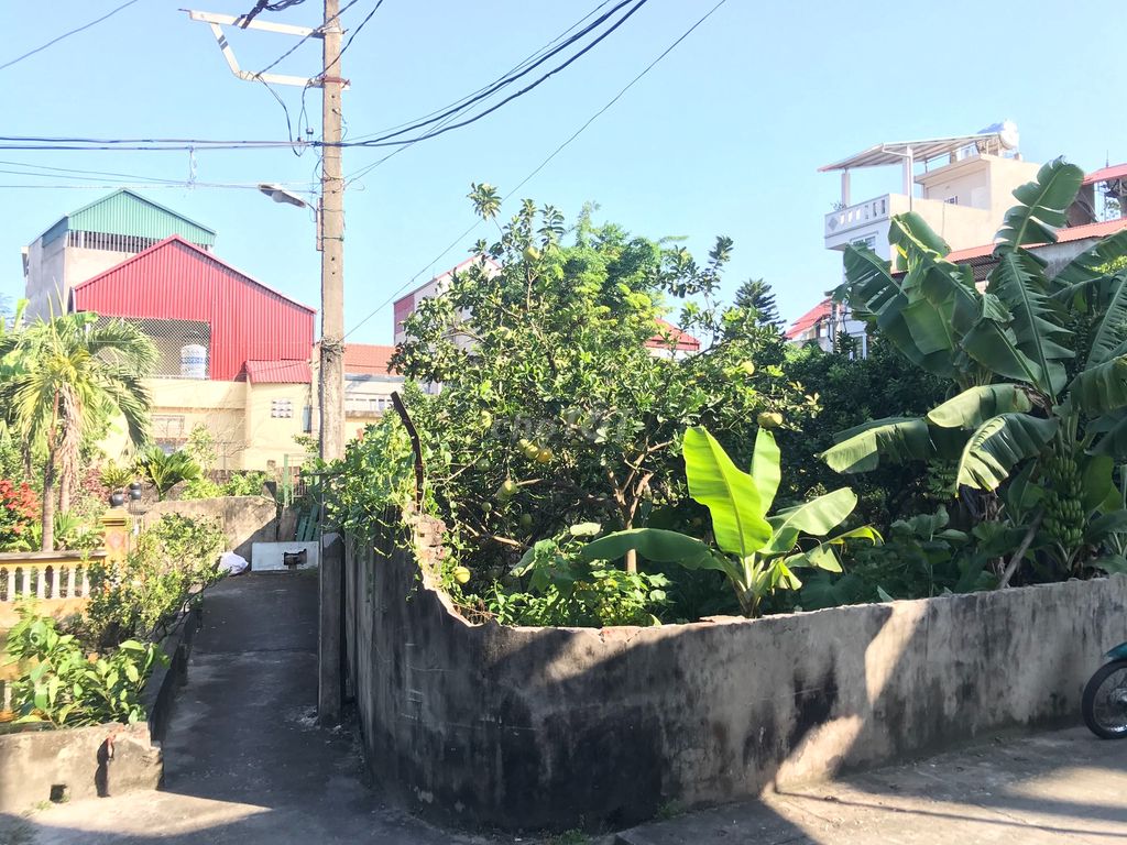 Cần bán đất đối diện số nhà 21 ngõ 96 phố Phượng Trì, Thị trấn Phùng, Huyện Đan Phượng, Hà Nội 11070061