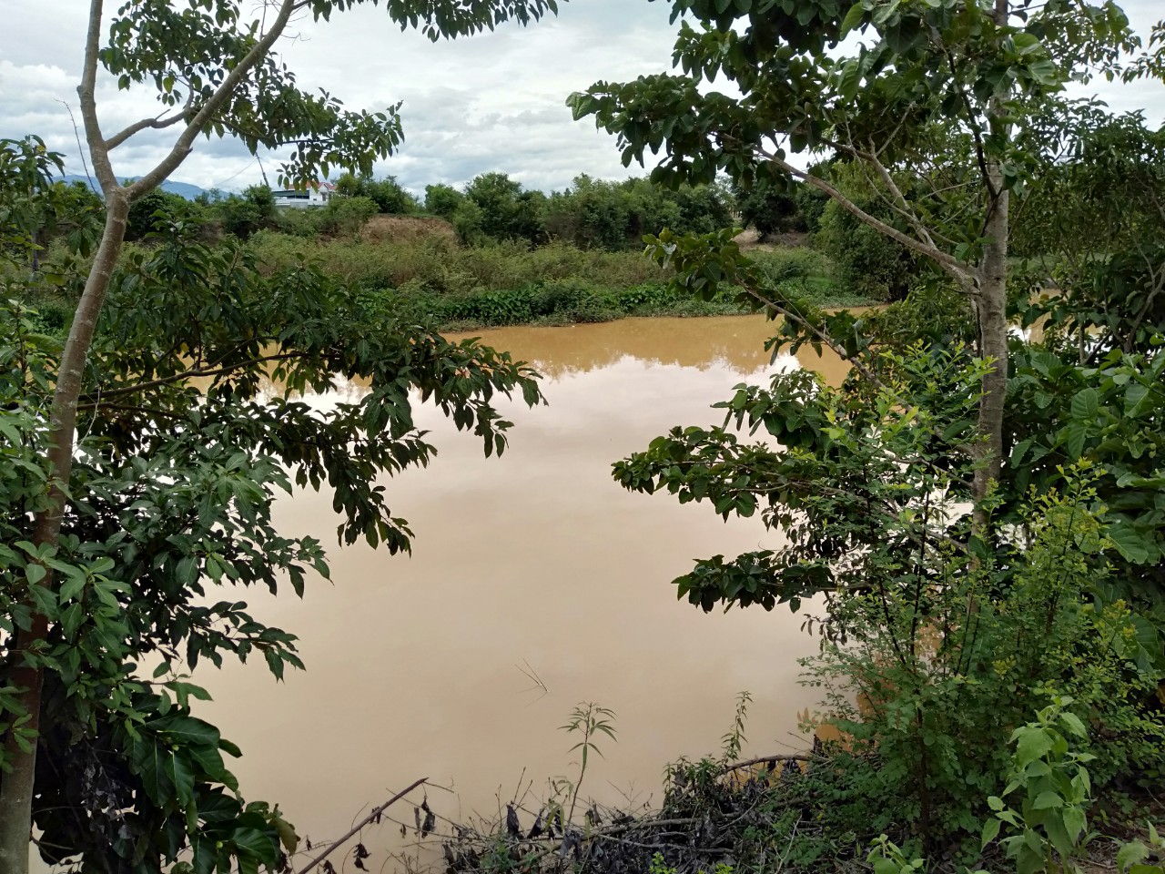 BÁN ĐẤT THÔN TÂN MỸ, - XÃ NINH XUÂN -THỊ XÃ NINH HÒA - KHÁNH HÒA 11079628