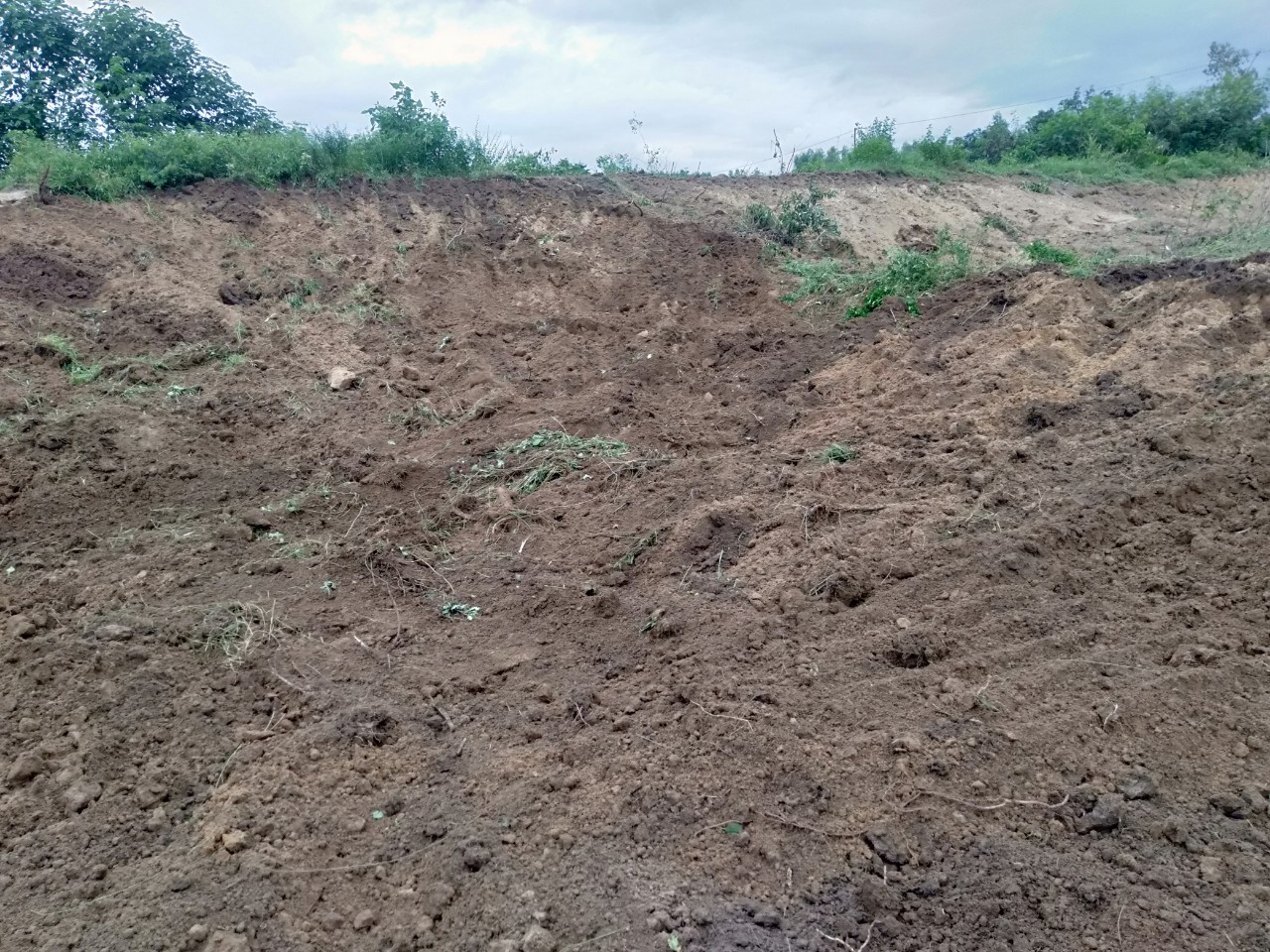 BÁN ĐẤT THÔN TÂN MỸ, - XÃ NINH XUÂN -THỊ XÃ NINH HÒA - KHÁNH HÒA 11079628