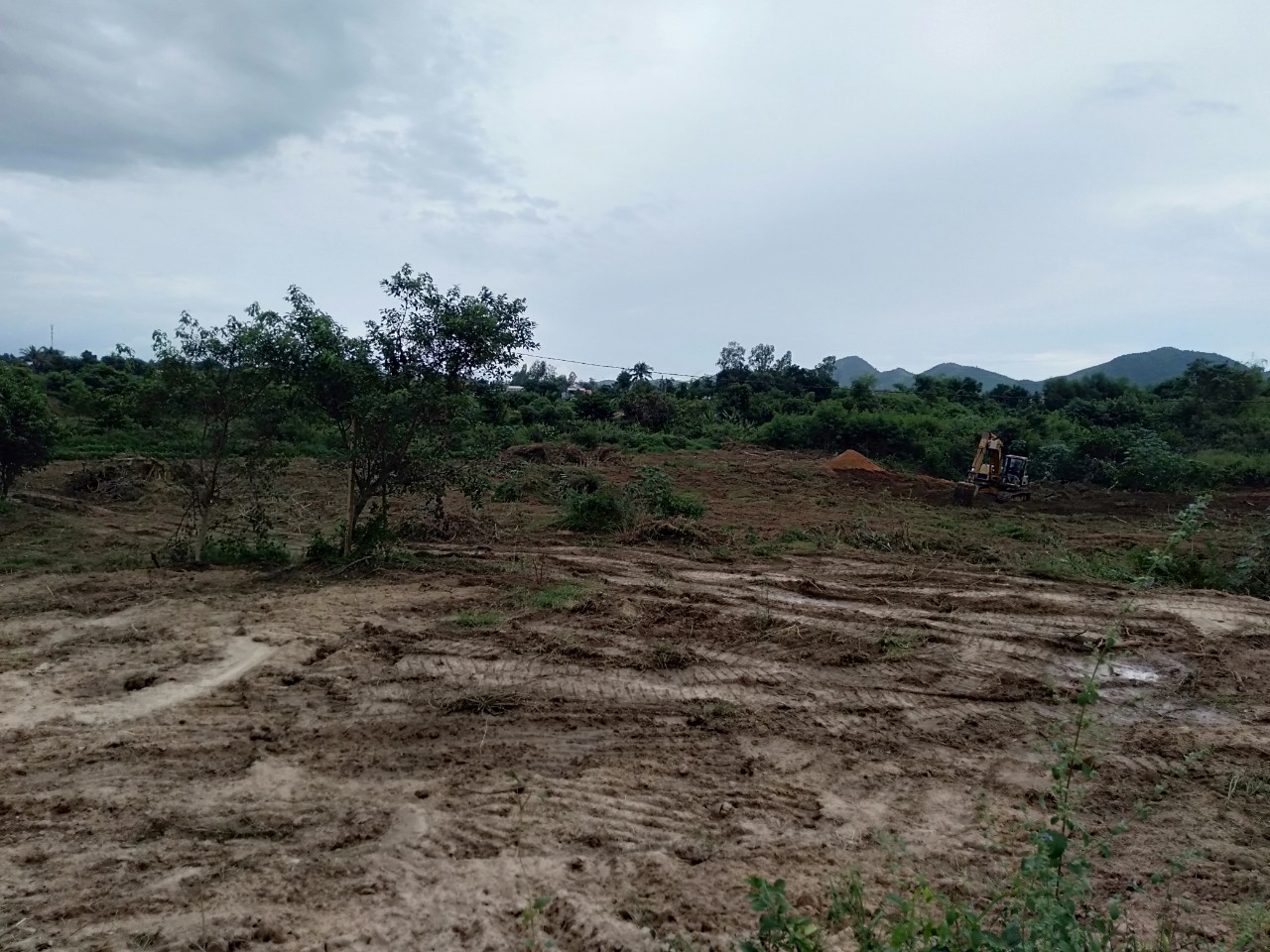 BÁN ĐẤT THÔN TÂN MỸ, - XÃ NINH XUÂN -THỊ XÃ NINH HÒA - KHÁNH HÒA 11079628