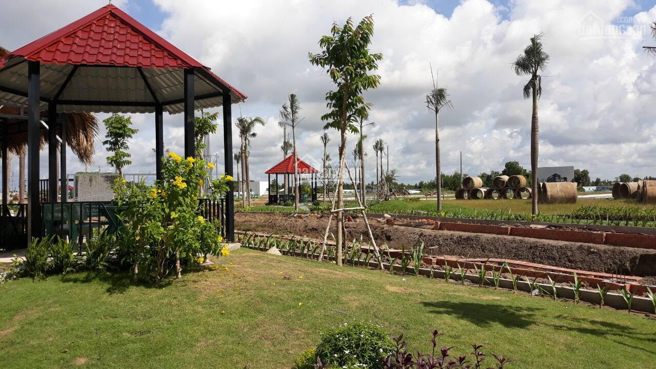 KHU ĐÔ THỊ 5 SAO THUẬN ĐẠO RIVERSIDE - NGUYỄN TRUNG TRỰC - THỊ TRẤN BẾN LỨC 11087758