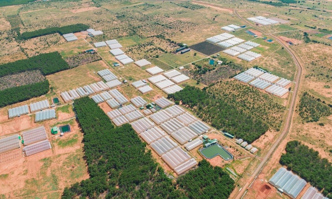 Bán lô đất trang trại sổ đỏ 37.345m2 giá 4 tỷ 668, ngay cạnh trang trại dưa lưới, khu Safari, đường 11108490