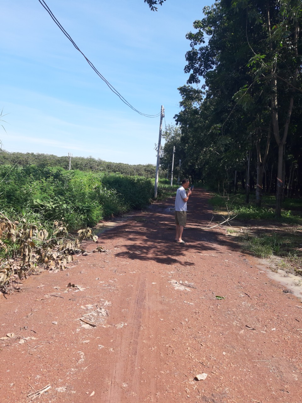 GẤP! CẦN TIỀN TRẢ NỢ NGÂN HÀNG CẦN BÁN NHANH LÔ ĐẤT 90 X120 (12000M2) MẶT TIỀN, GẦN UB XÃ AN LINH, 11109084