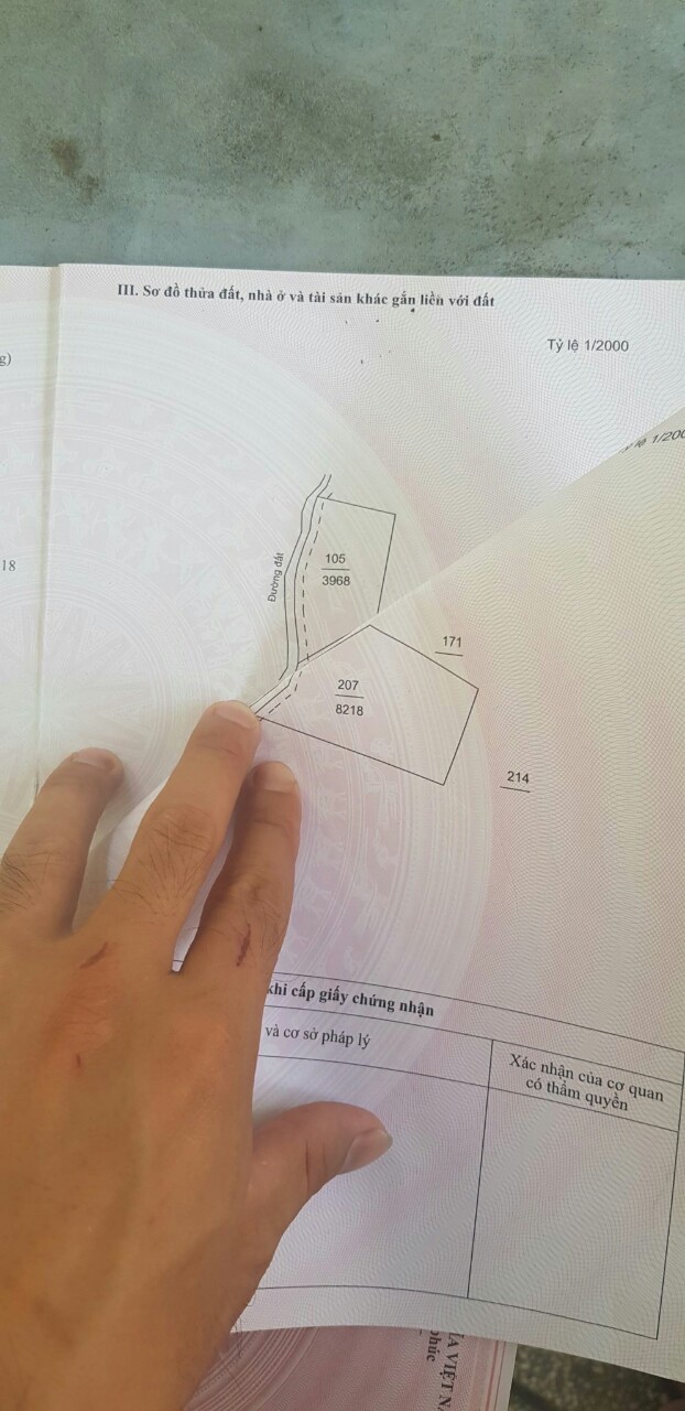 GẤP! CẦN TIỀN TRẢ NỢ NGÂN HÀNG CẦN BÁN NHANH LÔ ĐẤT 90 X120 (12000M2) MẶT TIỀN, GẦN UB XÃ AN LINH, 11109084