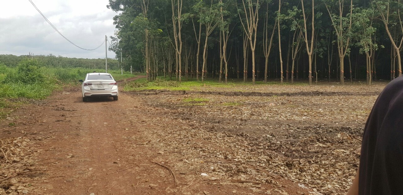 GẤP! CẦN TIỀN TRẢ NỢ NGÂN HÀNG CẦN BÁN NHANH LÔ ĐẤT 90 X120 (12000M2) MẶT TIỀN, GẦN UB XÃ AN LINH, 11109084