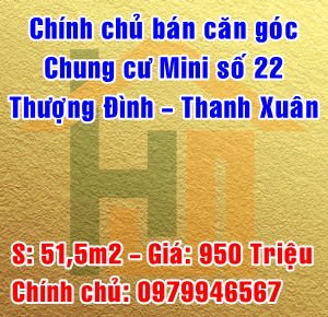 
Bán căn góc chung cư Mini số 22 Thượng Đình, Quận Thanh Xuân, Hà Nội 11115361