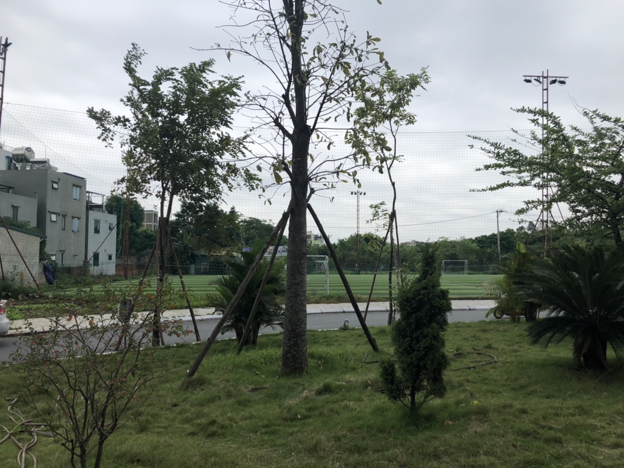 CHÍNH CHỦ BÁN CĂN A2608(56M2) CHUNG CƯ OSAKA COMPLEX HOÀNG MAI GIÁ 1TỶ 230TR . 11125837